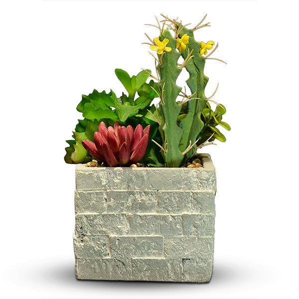 Mini Flower Pot 2