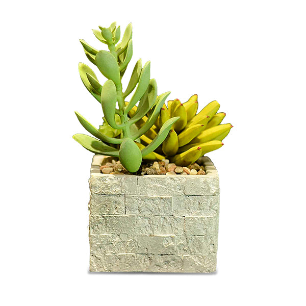 Mini Flower Pot 3