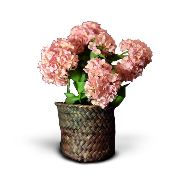 Mini Flower Pot 5