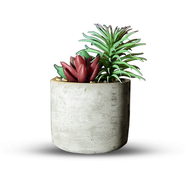 Mini Flower Pot 6