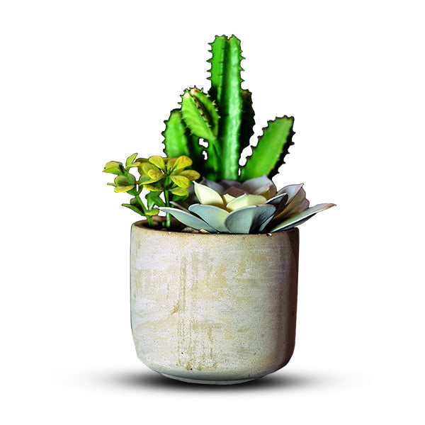 Mini Flower Pot 8