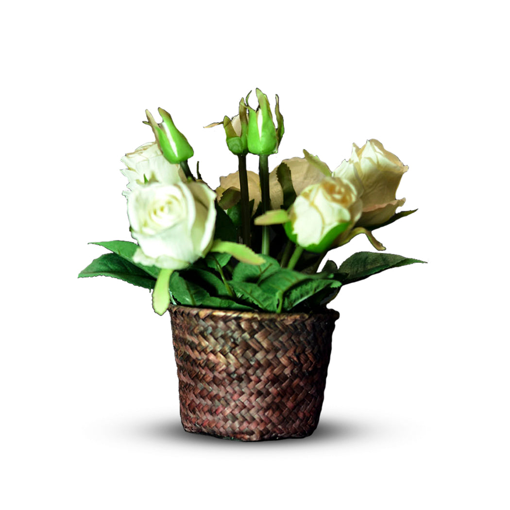 Mini Flower Pot 19