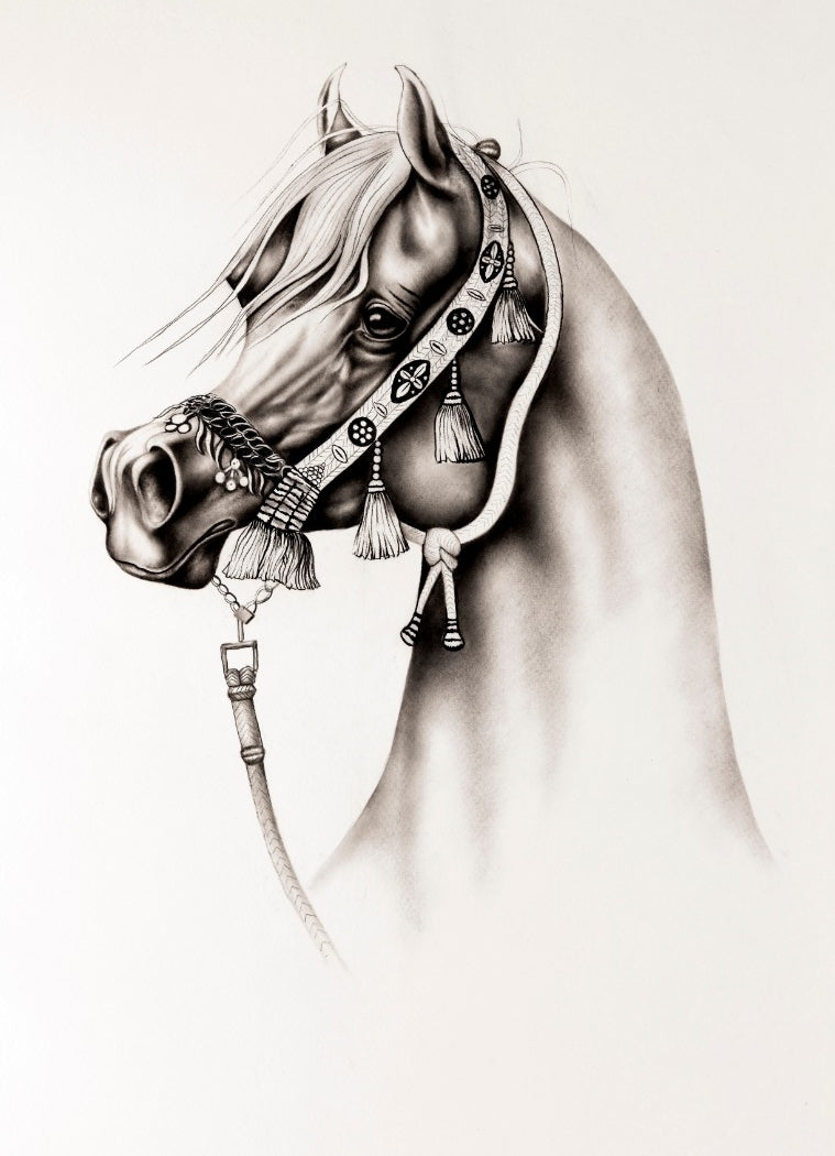 Arabic Horse