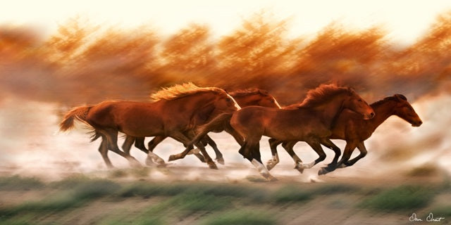 Blazing Herd II