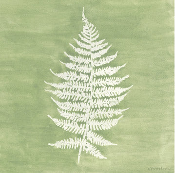 Forest Ferns 1