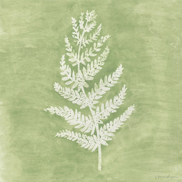 Forest Ferns 2