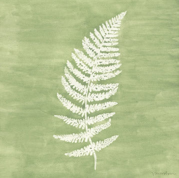 Forest Ferns 3