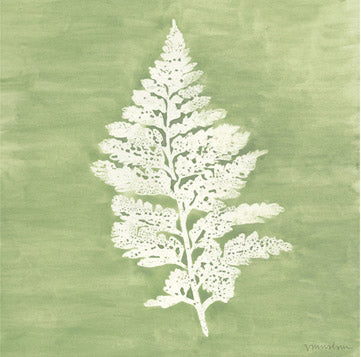 Forest Ferns 4