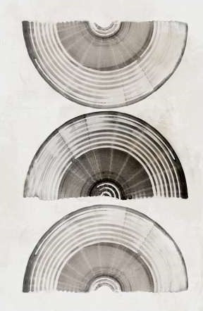 Sophisticatted Lines I