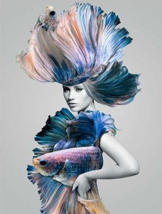 Dragable Image