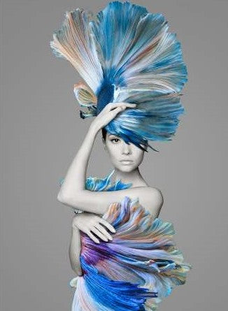 Dragable Image