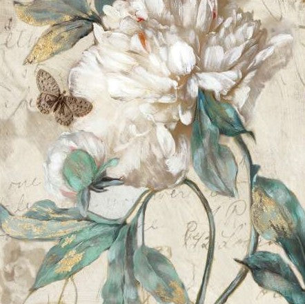 Morning Peony II