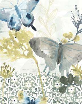 Butterfly Concerto 1