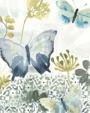 Butterfly Concerto 2