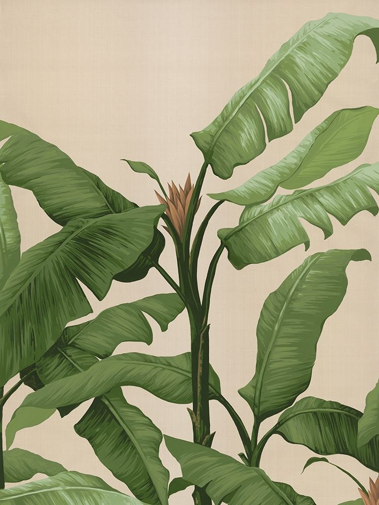 Panama II