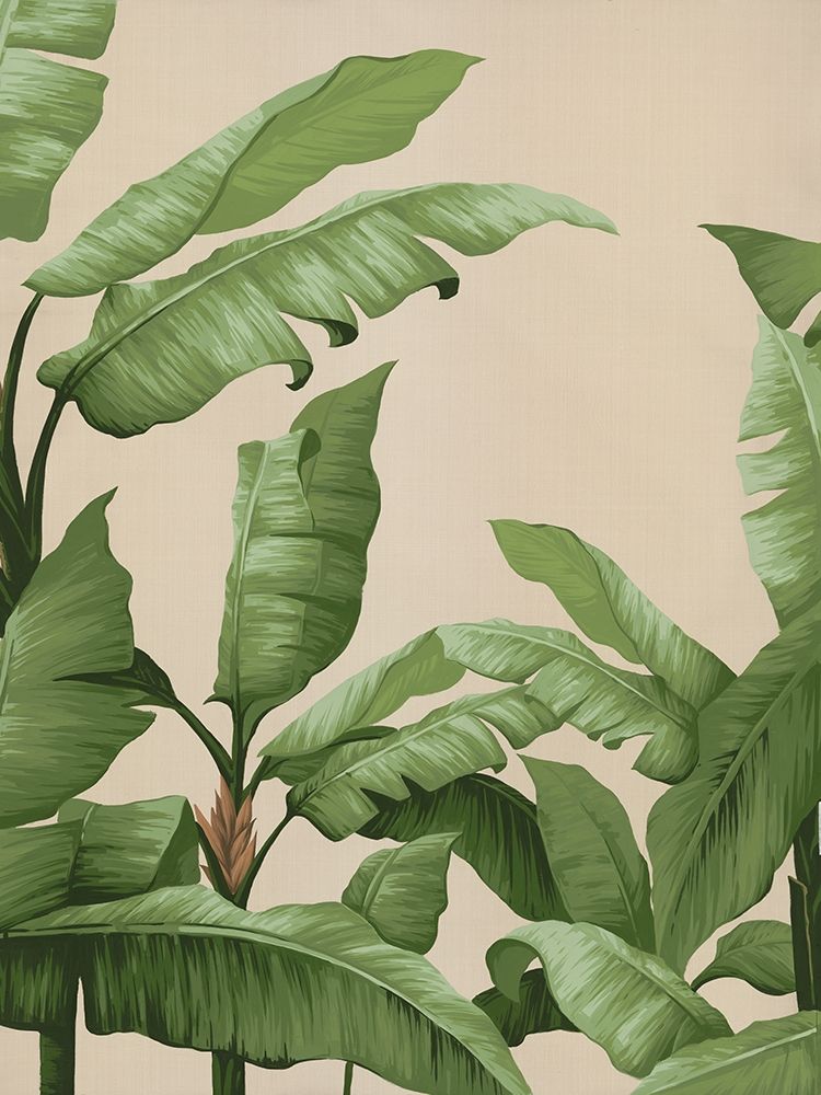 Panama I