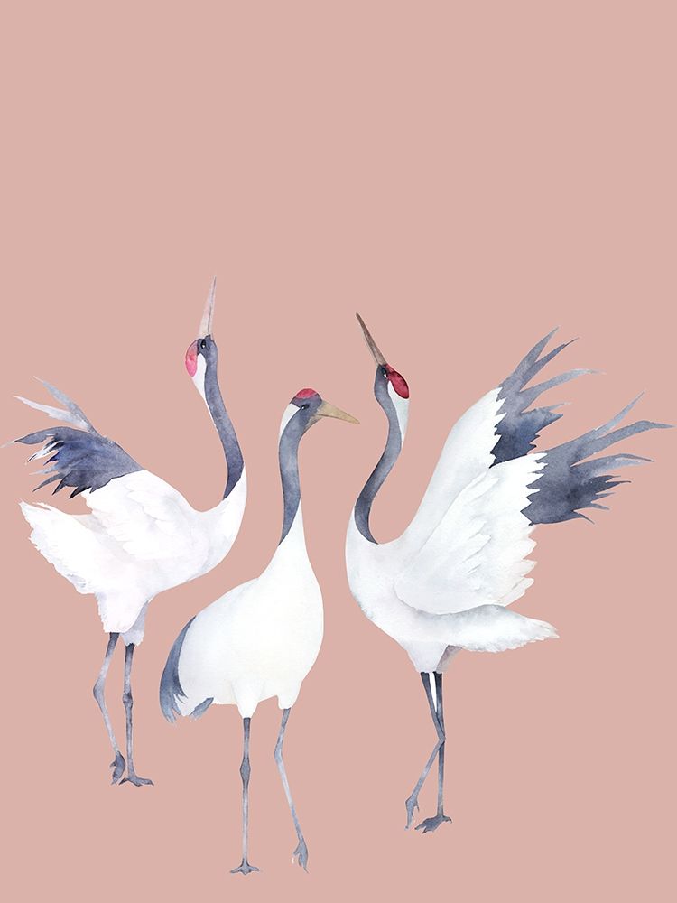 Cranes