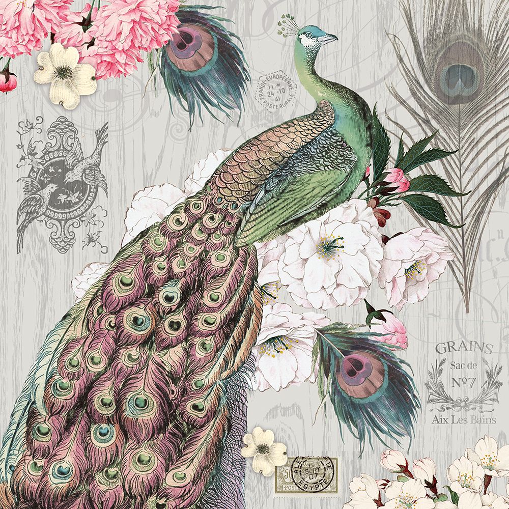 Peacock Pastels 1