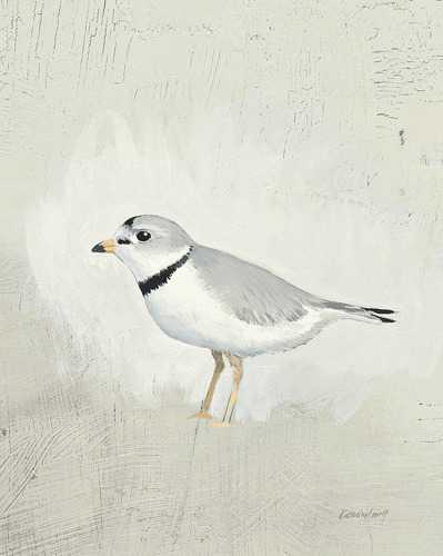 Sea Birds 4