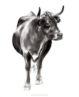 Charcoal Cattle 1