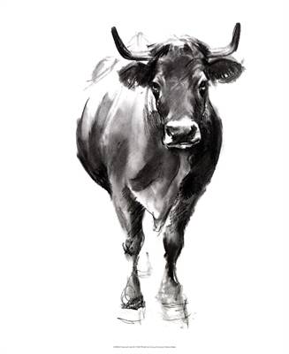 Charcoal Cattle 2