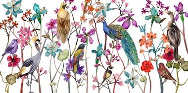 Tangled Garden 5