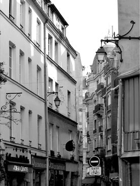 Parisian Stroll 3