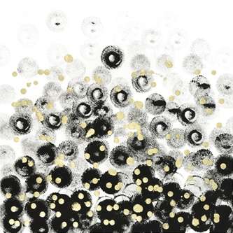 Onyx Pop 1