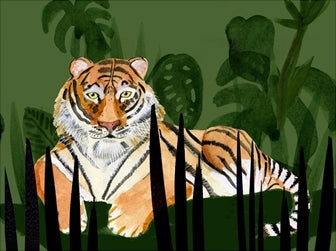 Tiger Tiger 2
