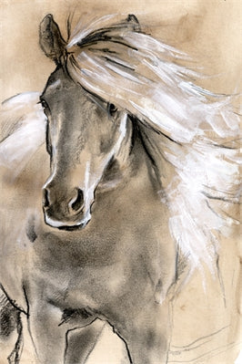 Sketched Horse 1