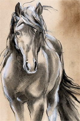 Sketched Horse 2