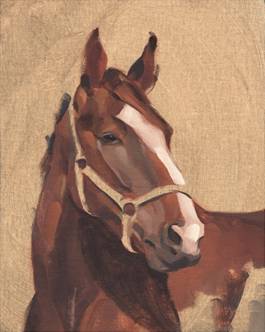 Thoroughbred 4