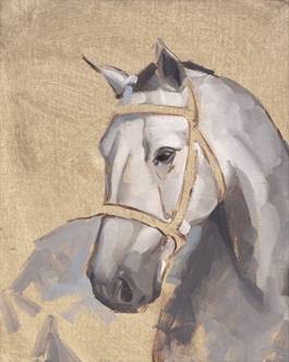 Thoroughbred 5