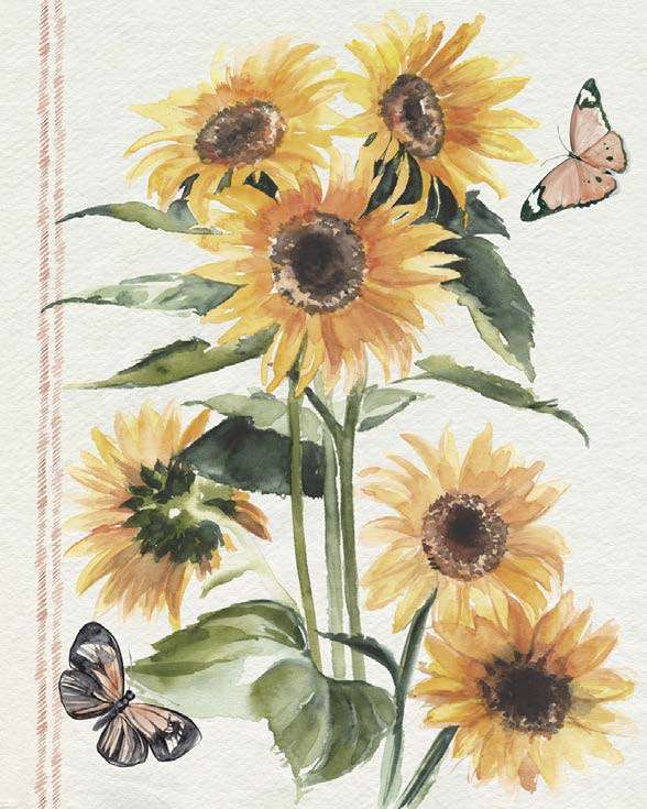 Autumn Sunflowers 1
