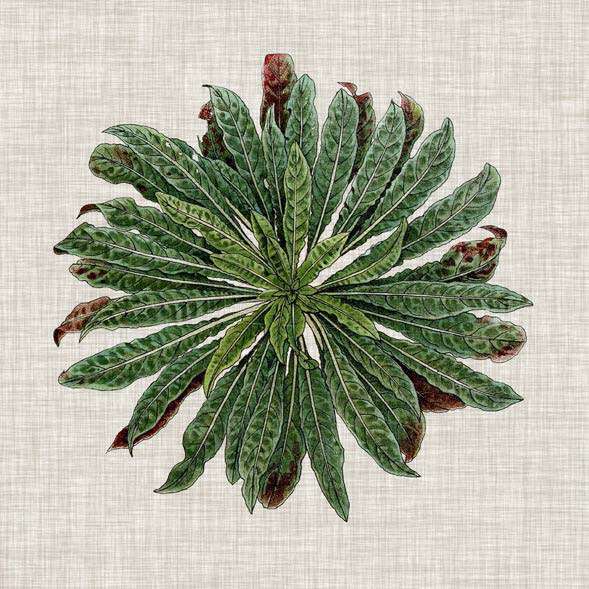 Spherical Leaves 2