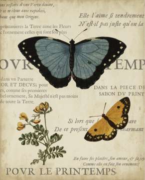 Specimen of Natural Beauty 1