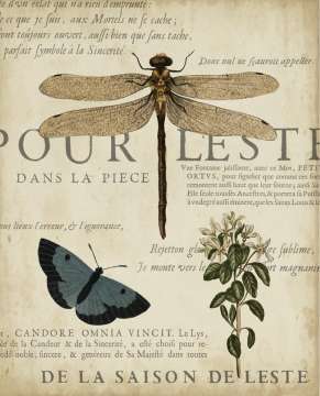 Specimen of Natural Beauty 2