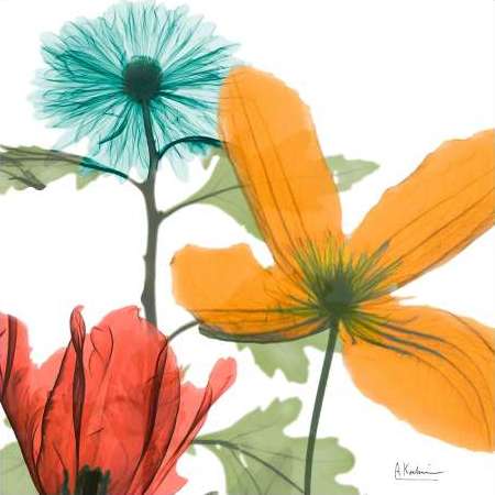 Inspired Bunch 2