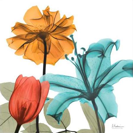 Inspired Bunch 3