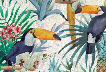 Tropical Tucan