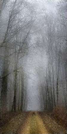 Road of Mysteries 1