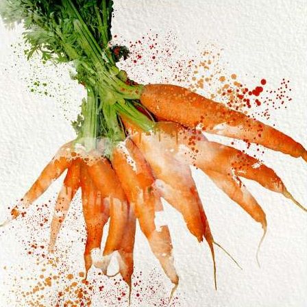 Veggies 3