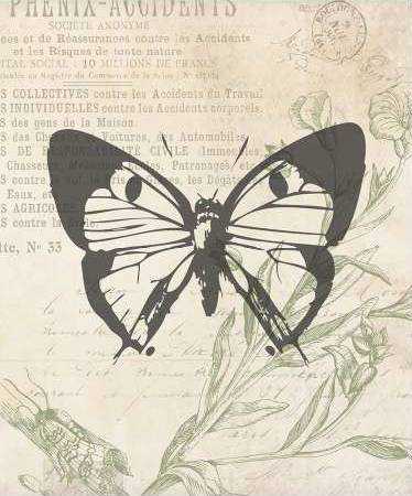 Lightened Vintage Insects 2