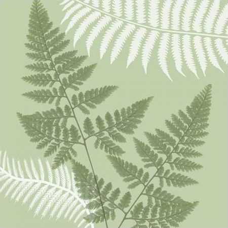 Green Jungle 4