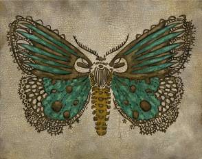 Lace Wing 1
