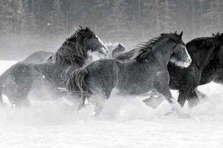 Winter Roundup I