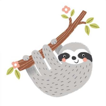 Grey Sloth