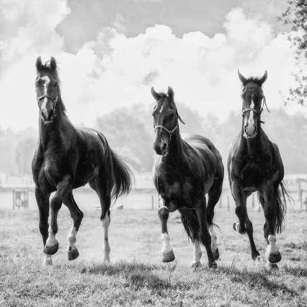 Three of a Kind