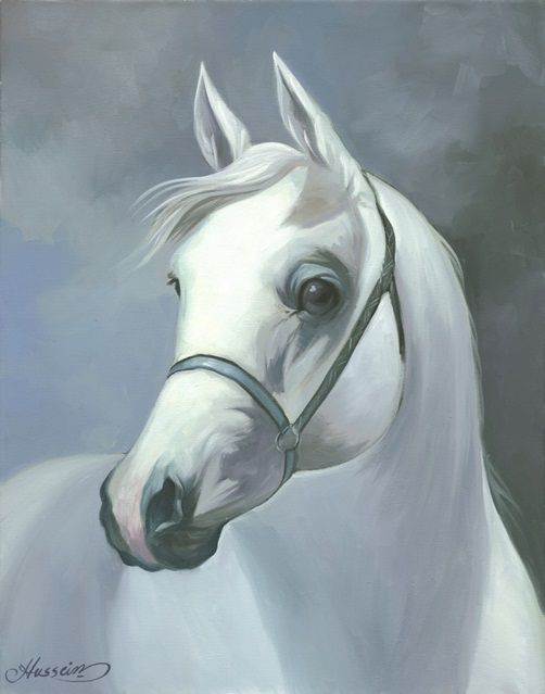 Palomino