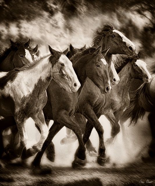 The March